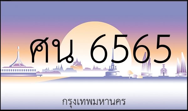 ศน 6565